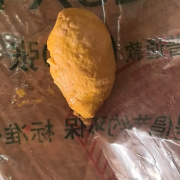 鸡宝