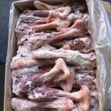 后羊腿