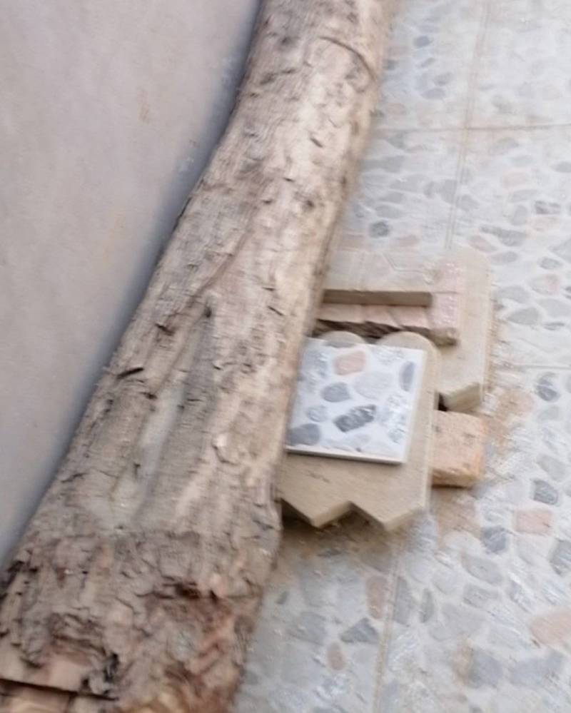 红香椿圆木木材