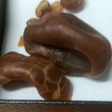 ？鸡宝