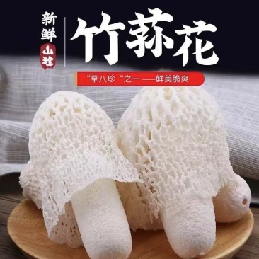 竹荪