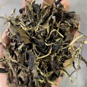 老白茶