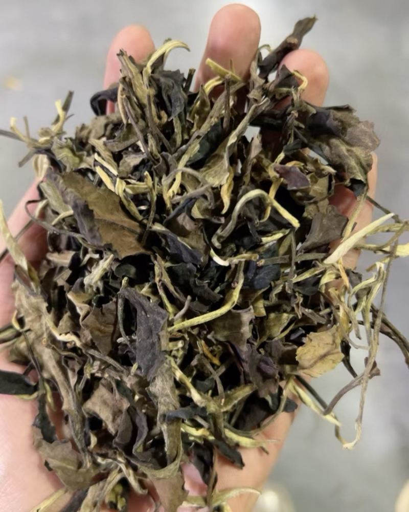 老白茶
