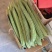 本地棱丝瓜