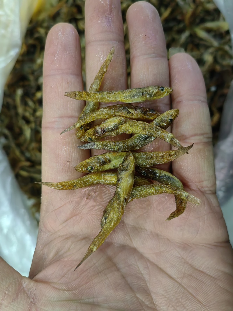 大量黄鱼上新今年新货现炸现卖