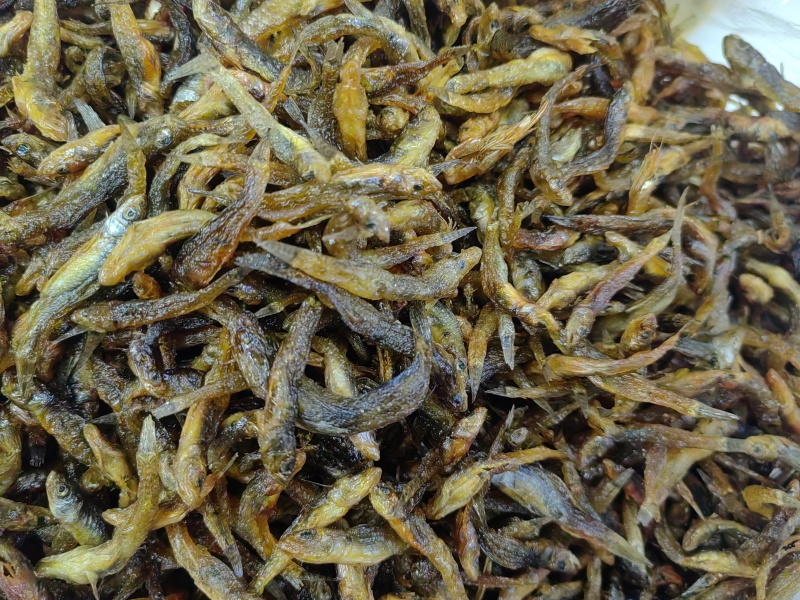 大量黄鱼上新今年新货现炸现卖