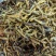 大量黄鱼上新今年新货现炸现卖