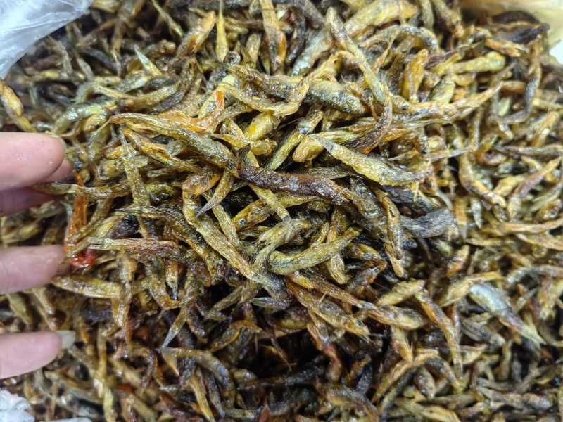 大量黄鱼上新今年新货现炸现卖