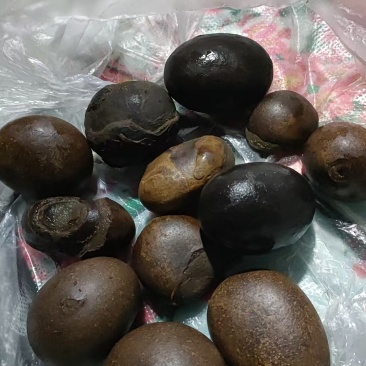 羊胃里的石头，简称羊结石，羊宝