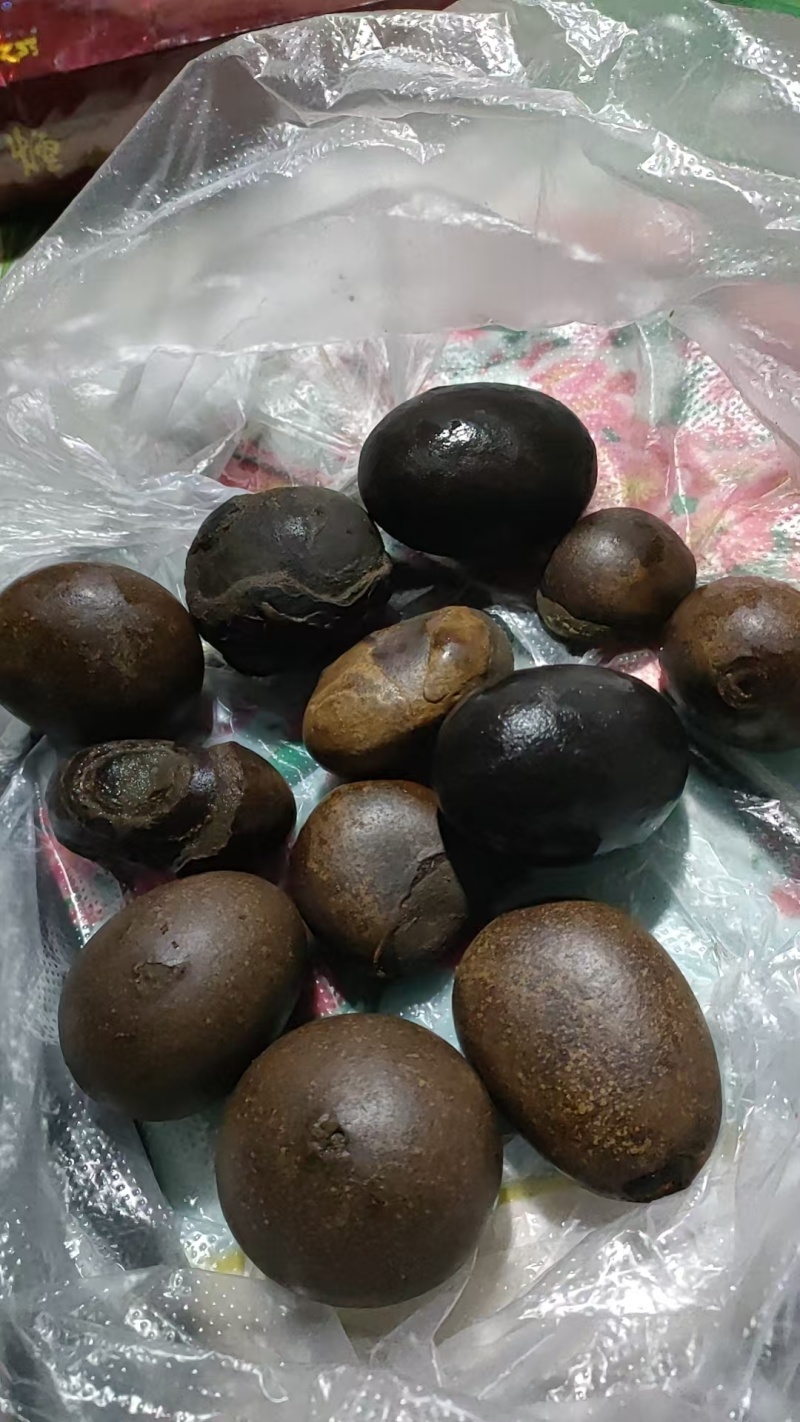 羊胃里的石头，简称羊结石，羊宝
