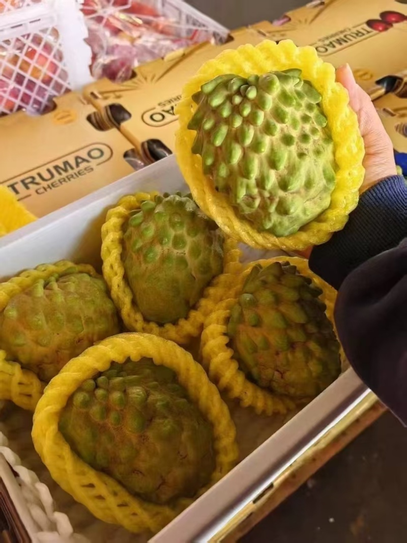 凤梨释迦
