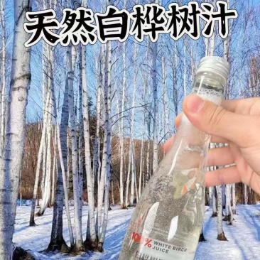 桦树汁