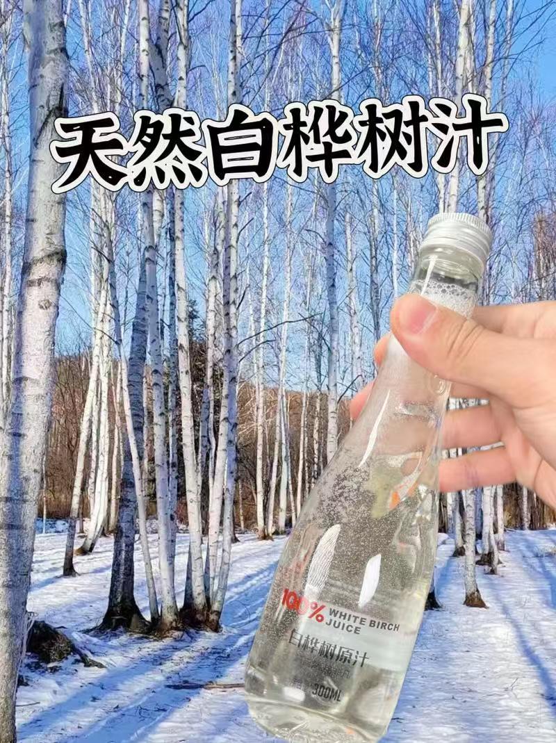 桦树汁