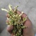 精品无化工全干榨菜丝，片