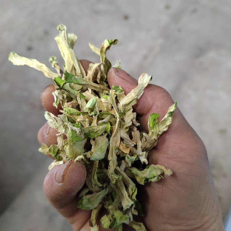 精品无化工全干榨菜丝，片