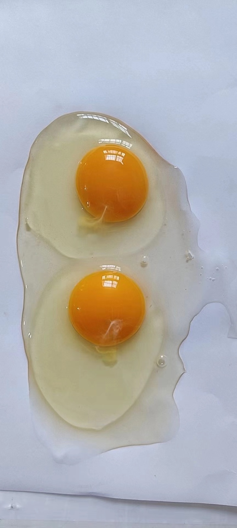 精品箱装红壳鸡蛋