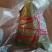透明包装素粽荤粽带真空包装源头工厂直发保质期180天，