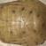 江河甲鱼