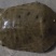 江河甲鱼