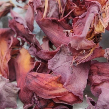 干木棉花