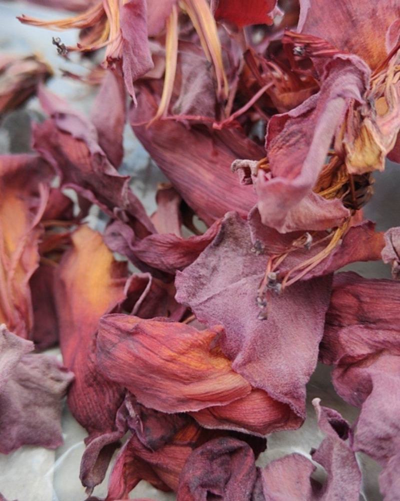干木棉花