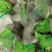 苇叶蜜粽厂家直发一手货源质量保证对接各大电商
