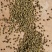 青花椒