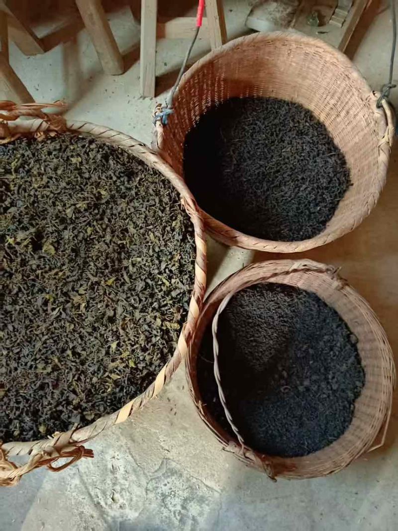 六堡茶广西黑茶汤色红亮通透细腻饱满欢迎咨询选购