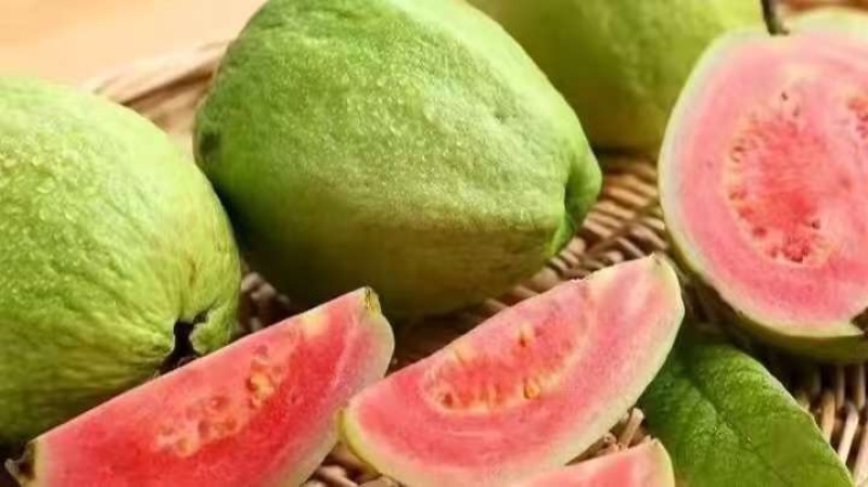 广东西瓜红番石榴珍珠白番石榴