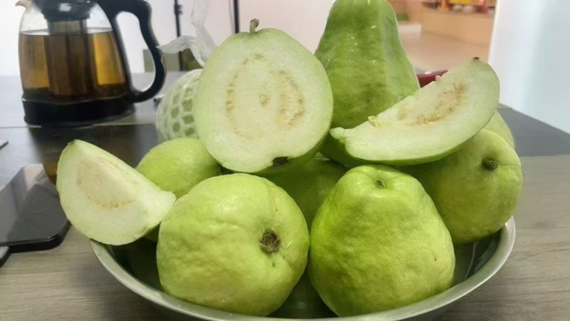 广东西瓜红番石榴珍珠白番石榴