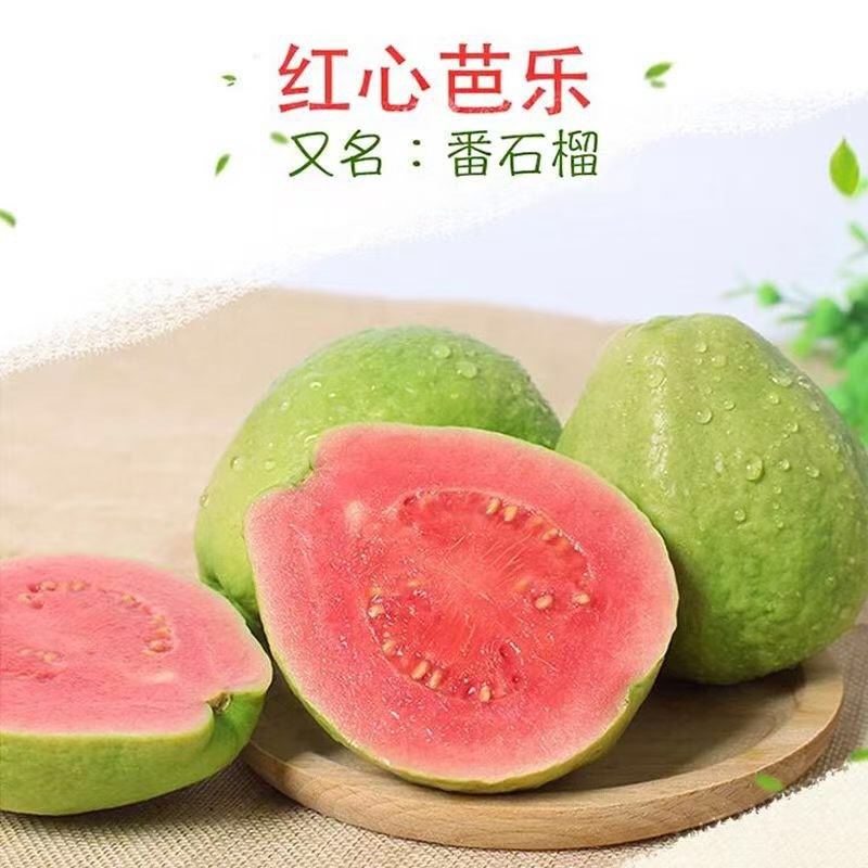 广东西瓜红番石榴珍珠白番石榴