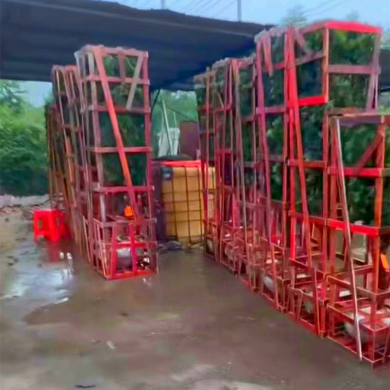 罗汉松造型罗汉松6到8公分