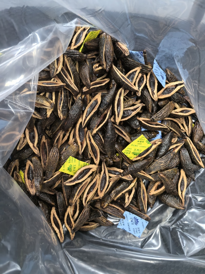 湖南湘潭槟榔散籽批发