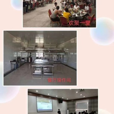 陕西渭南规模化养猪企业