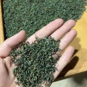松阳香茶