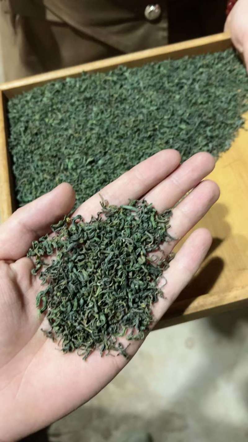 松阳香茶