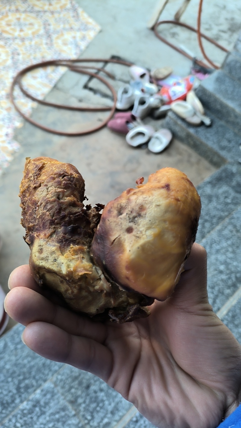 鸡宝半年风干