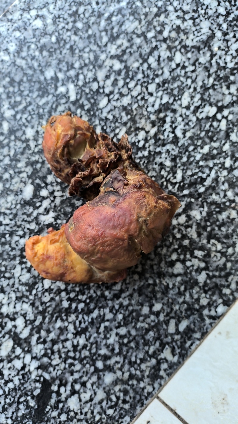 鸡宝半年风干
