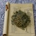 天然紫花地丁中药材，正品无硫，质量保证，量大从优