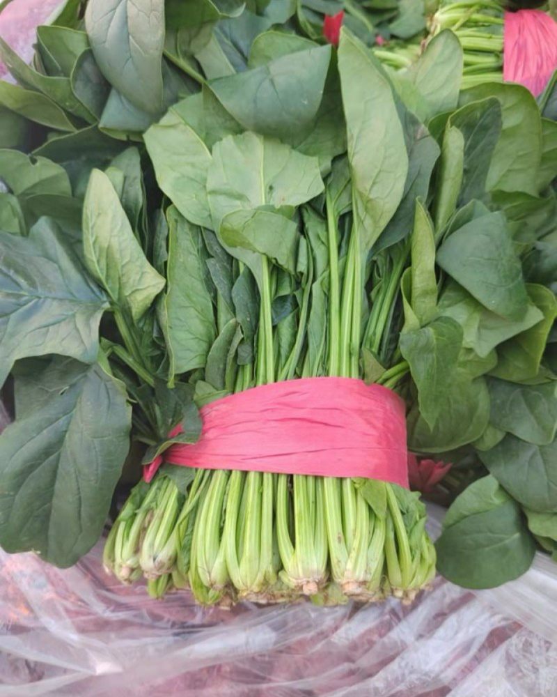 菠菜