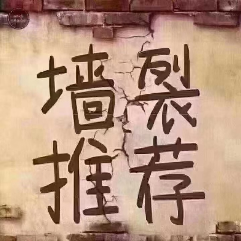 仿生牛排片箱装10公斤一箱20包25年新货