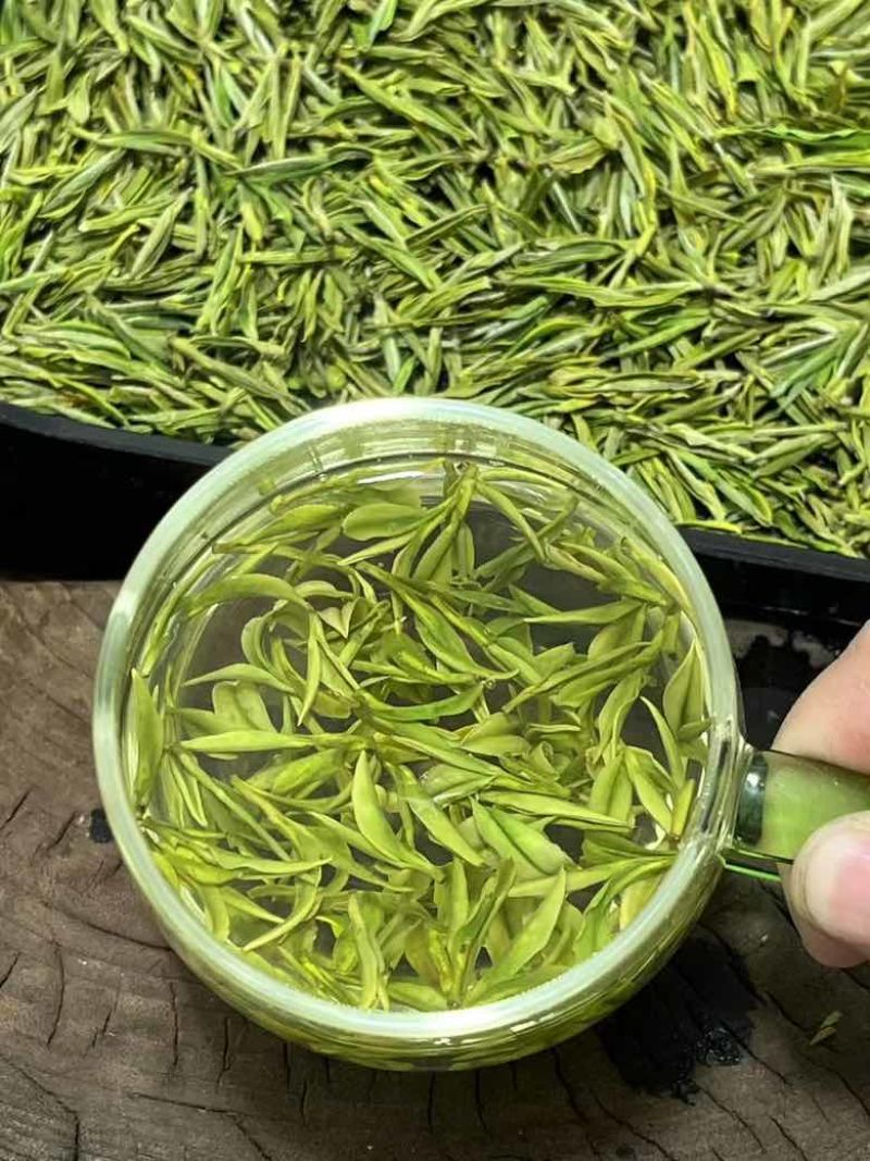 安吉白茶平替