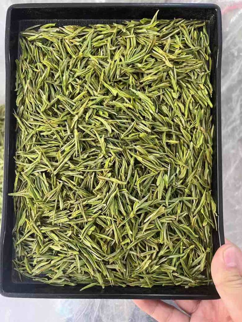 安吉白茶平替