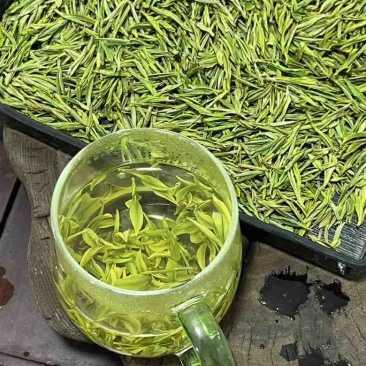 安吉白茶平替