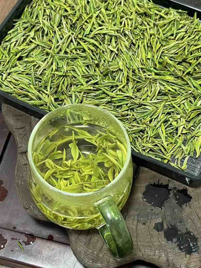 安吉白茶平替