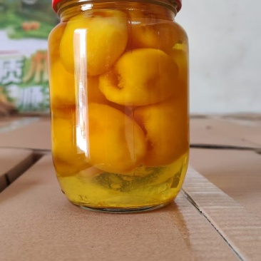 书峰枇杷罐头批发