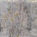 香椿