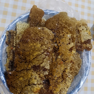 中华土蜜蜂