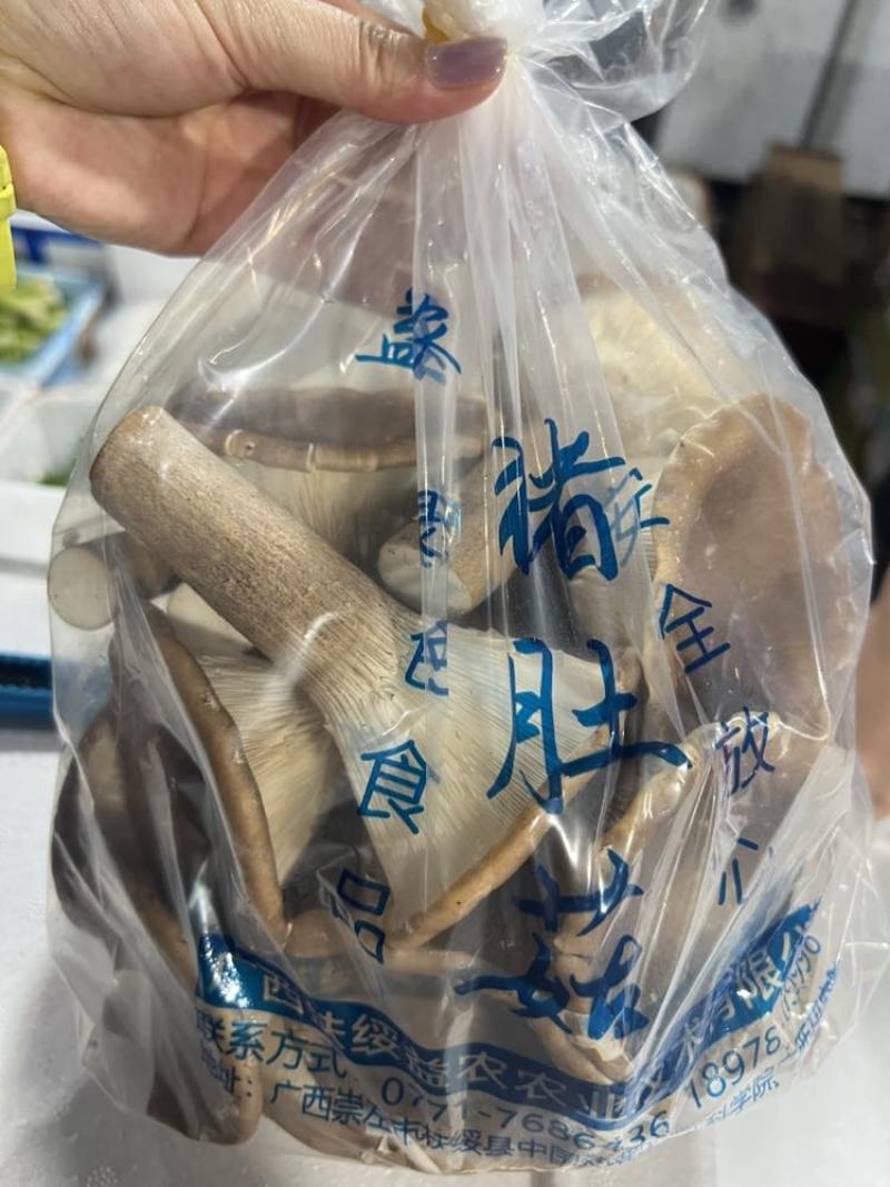 猪肚菇