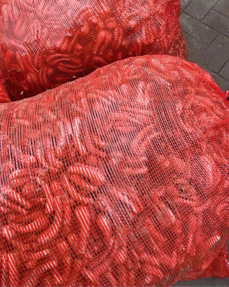 马家藠头
